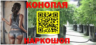 индика Вязники